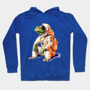 An Astronaut Frog Hoodie